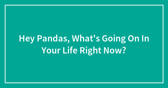 Hey Pandas, What’s Going On In Your Life Right Now? (Closed)