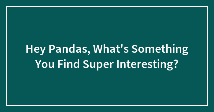 Hey Pandas, What’s Something You Find Super Interesting?