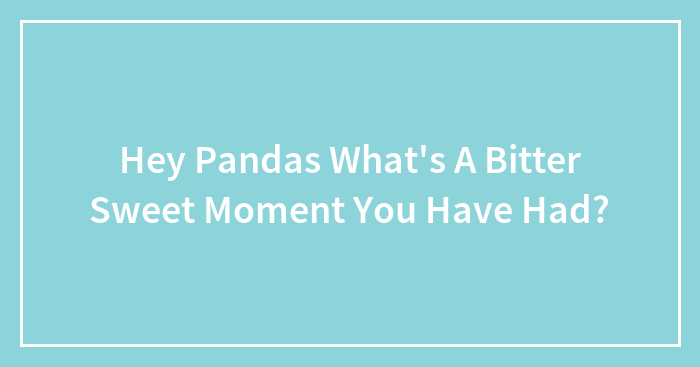 Hey Pandas, What Was A Bitter Sweet Moment In Your Life? (Closed)