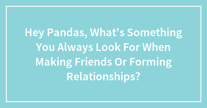 Hey Pandas, What’s Something You Always Look For When Making Friends Or Forming Relationships? (Closed)