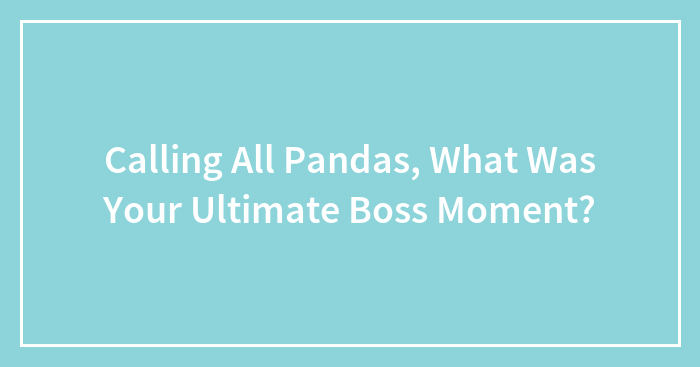 Calling All Pandas, What Was Your Ultimate Boss Moment?