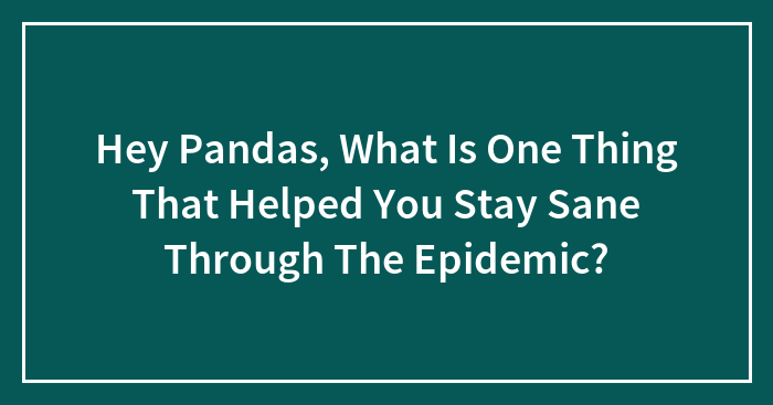 Hey Pandas, What Is One Thing That Helped You Stay Sane Through The Epidemic? (Closed)
