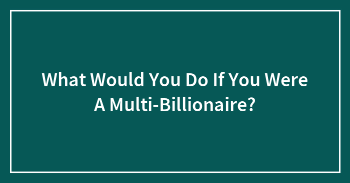 What Would You Do If You Were A Multi-Billionaire?