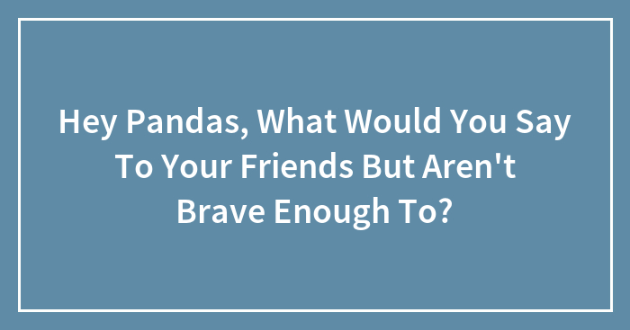 Hey Pandas, What Would You Say To Your Friends But Aren’t Brave Enough To?