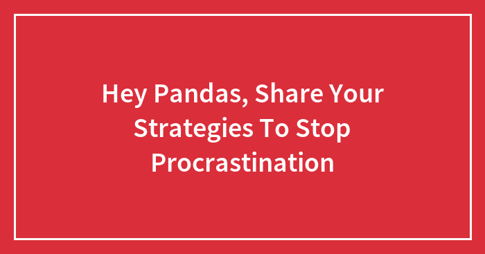 Hey Pandas, Share Your Strategies To Stop Procrastination (Closed)