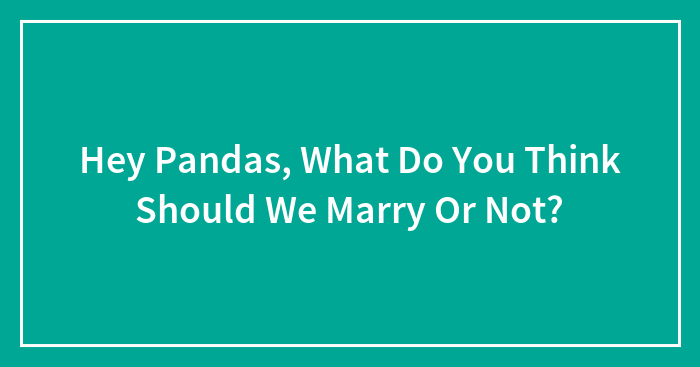 Hey Pandas, What Do You Think Should We Marry Or Not?