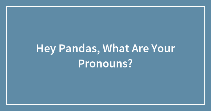 Hey Pandas, What Are Your Pronouns?