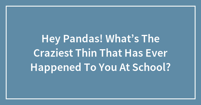 Hey Pandas! What’s The Craziest Thing That Has Ever Happened To You At School?