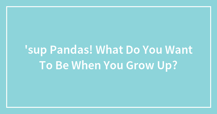 ‘sup Pandas! What Do You Want To Be When You Grow Up?
