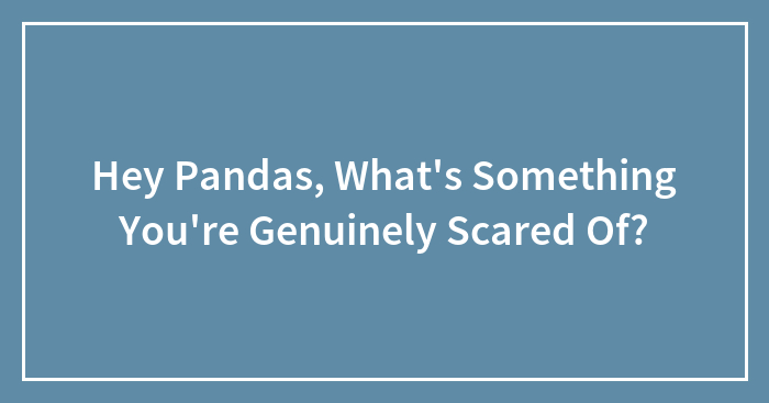 Hey Pandas, What’s Something You’re Genuinely Scared Of? (Closed)