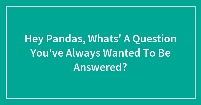 Hey Pandas, Whats’ A Question You’ve Always Wanted To Be Answered? (Closed)
