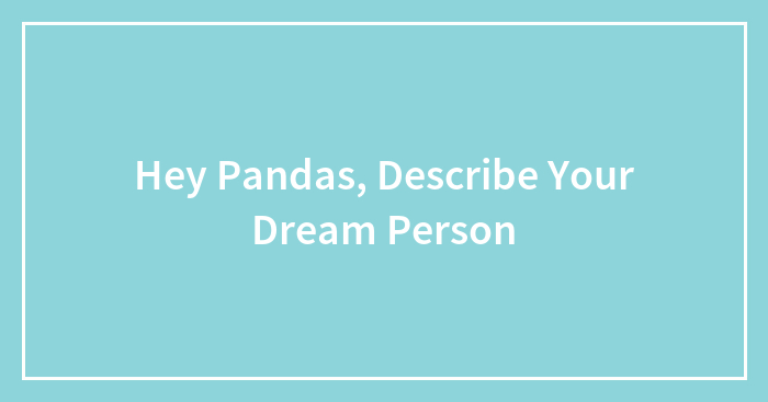 Hey Pandas, Describe Your Dream Person (Closed)
