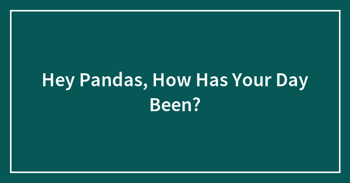 Hey Pandas, How Has Your Day Been?