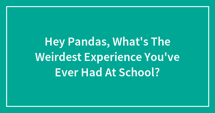 Hey Pandas, What’s The Weirdest Experience You’ve Ever Had At School?