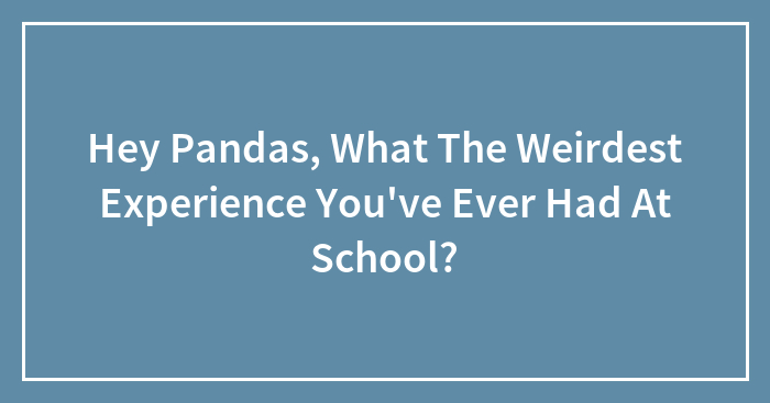 Hey Pandas, What The Weirdest Experience You’ve Ever Had At School? (Closed)