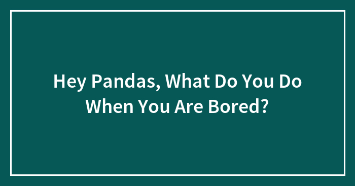 Hey Pandas, What Do You Do When You Are Bored?