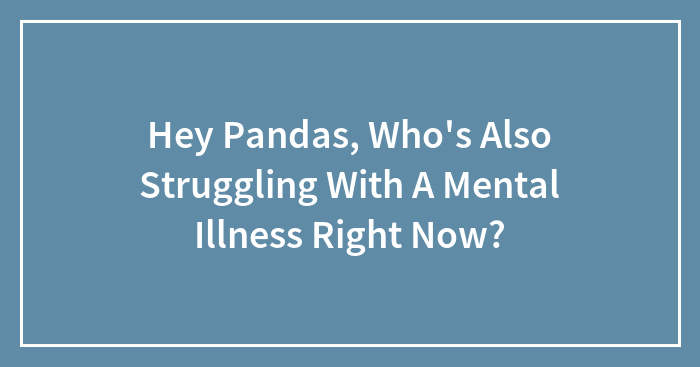 Hey Pandas, Who’s Also Struggling With A Mental Illness Right Now?