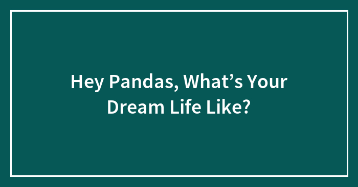 Hey Pandas, What’s Your Dream Life Like?