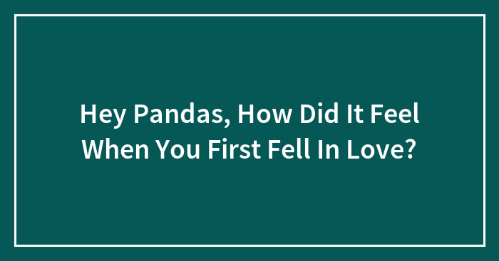Hey Pandas, How Did It Feel When You First Fell In Love? (Closed)