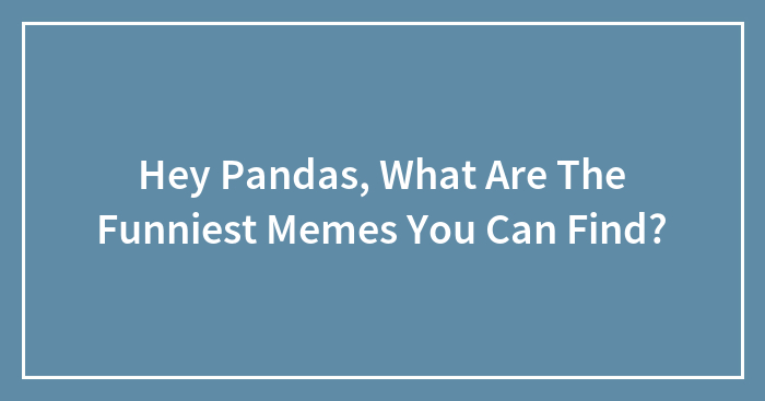 Hey Pandas, What Are The Funniest Memes You Can Find?