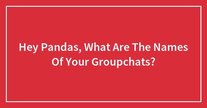 Hey Pandas, What Are The Names Of Your Groupchats?