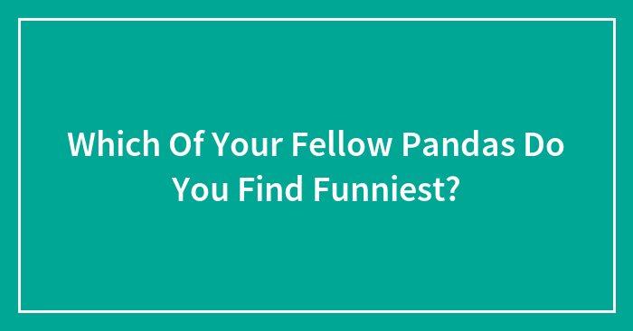 Which Of Your Fellow Pandas Do You Find Funniest?