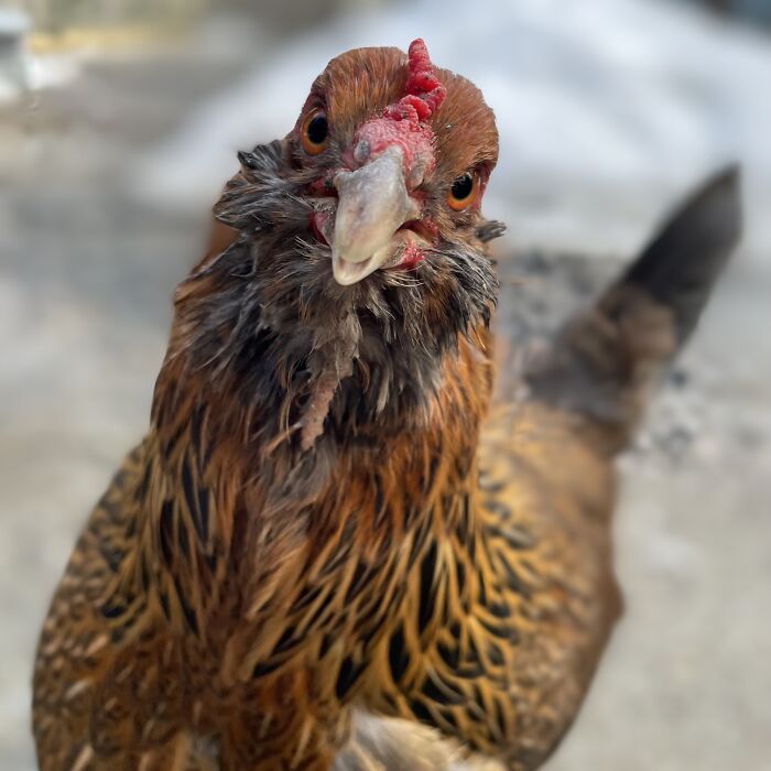 Here Is A Small Collection Of The Photographs I Took