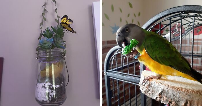 Hey Pandas, Share An Interior Decoration Hack Or Idea That You Use In Your Home (Closed)