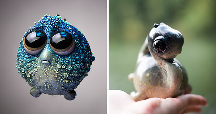 We Create Figurines And Art-Toys Of All Kinds Of Creatures (31 New Pics)