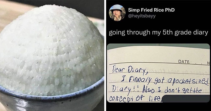 50 Hilarious Memes Shared Every Hour By This Twitter Account