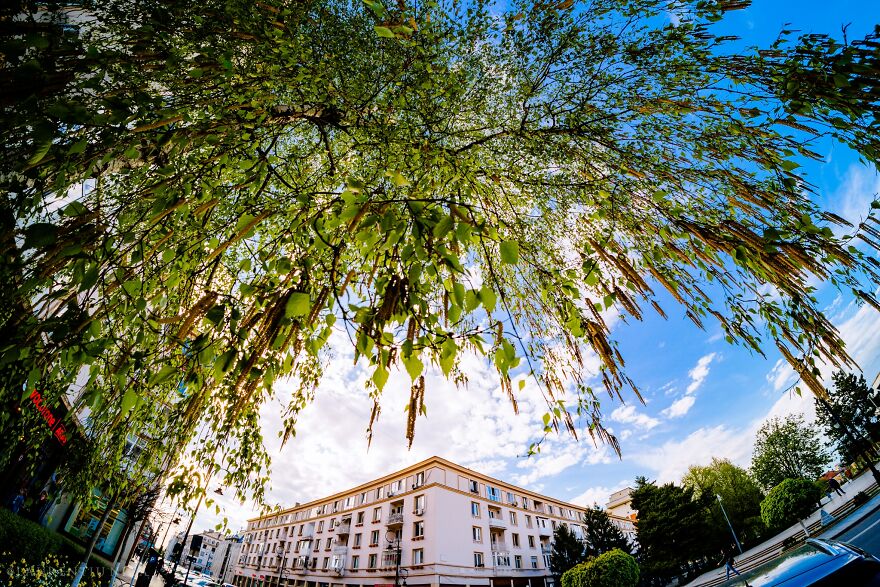 40 Colourful Frames Of Craiova's Enchanting Downtown: Spring's Kaleidoscope Unveiled