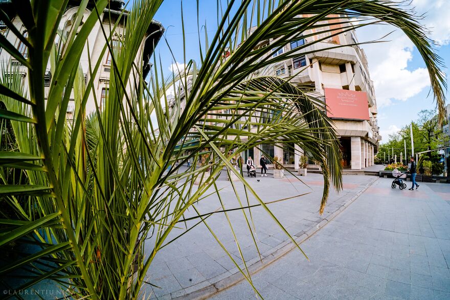 40 Colourful Frames Of Craiova's Enchanting Downtown: Spring's Kaleidoscope Unveiled