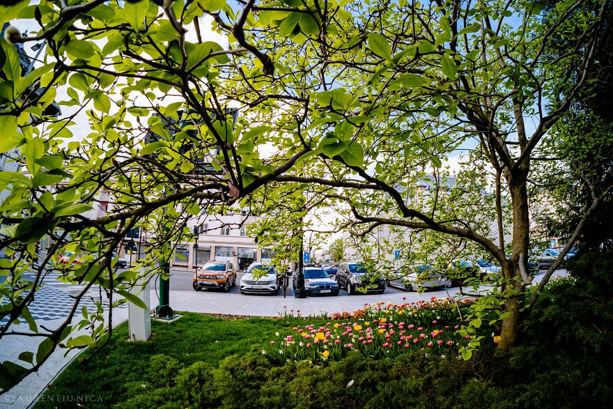 40 Colourful Frames Of Craiova's Enchanting Downtown: Spring's Kaleidoscope Unveiled