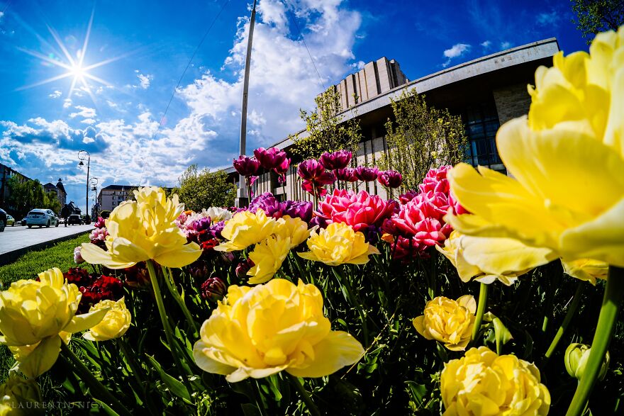 40 Colourful Frames Of Craiova's Enchanting Downtown: Spring's Kaleidoscope Unveiled