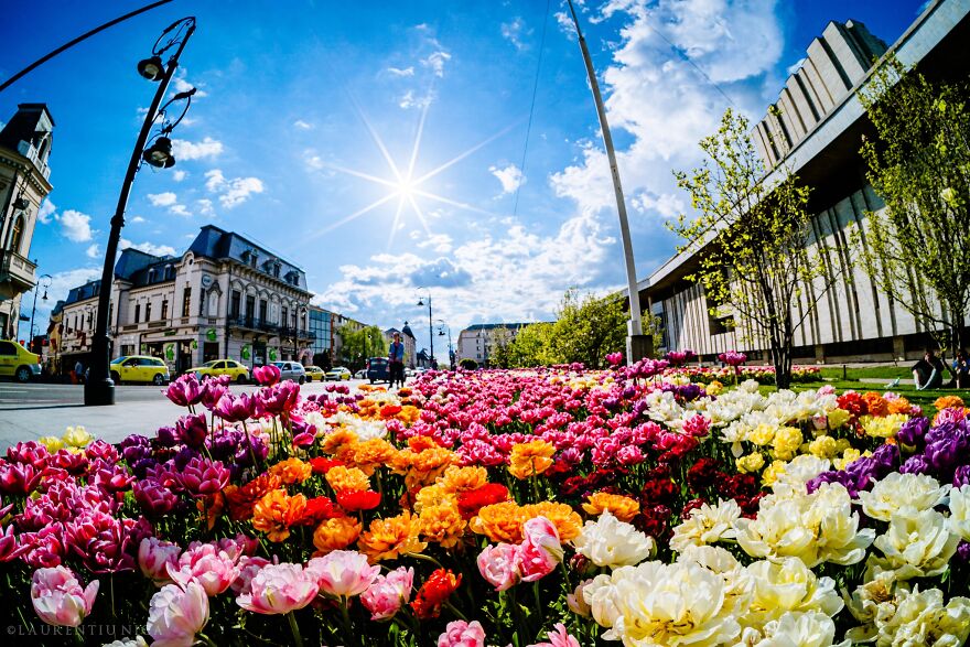 40 Colourful Frames Of Craiova's Enchanting Downtown: Spring's Kaleidoscope Unveiled