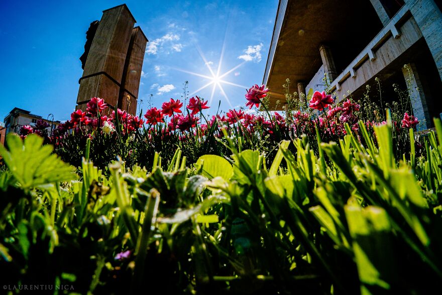 40 Colourful Frames Of Craiova's Enchanting Downtown: Spring's Kaleidoscope Unveiled