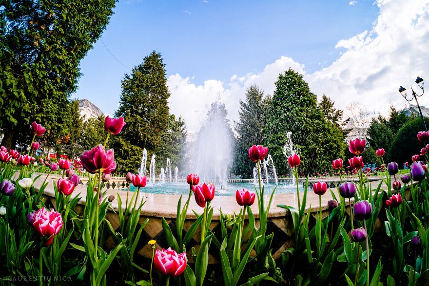 40 Colourful Frames Of Craiova's Enchanting Downtown: Spring's Kaleidoscope Unveiled