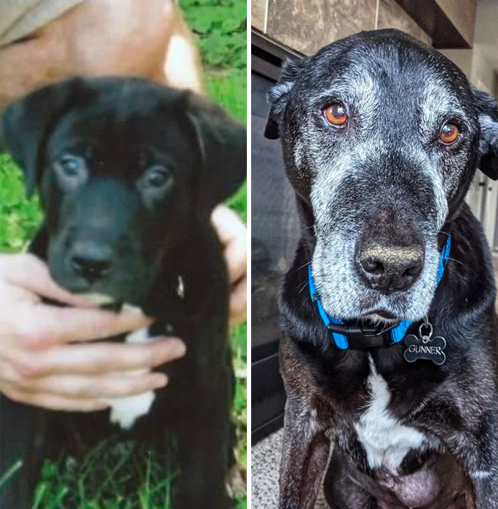 Gunner (14 años): 2007 y 2021