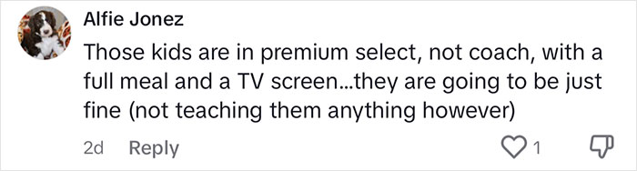 "Rich People, Don't Spoil Your Kids": Heated Discussion Starts After Dad Leaves His Kids In Coach While Flying First Class