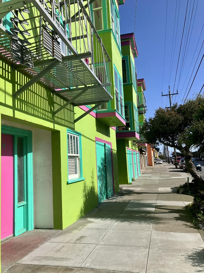 Advanced Dog Spotting Skills Required To Appreciate This Good Pup 🐶❤️