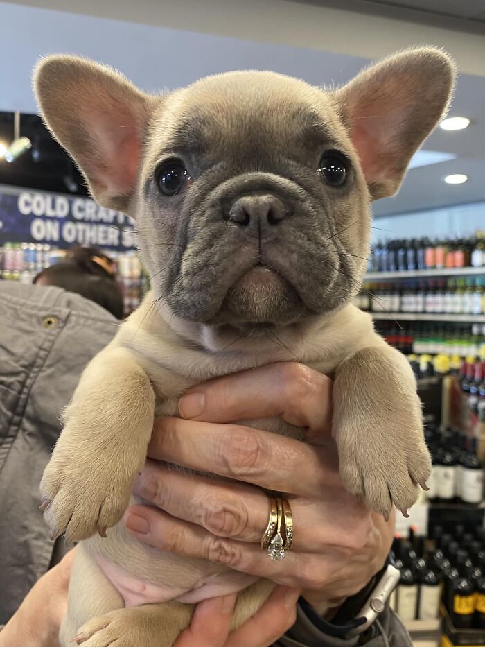 Spotted The New Girl At The Local Liquor Store- I Am Going To Be Buying A Lot More Wine…