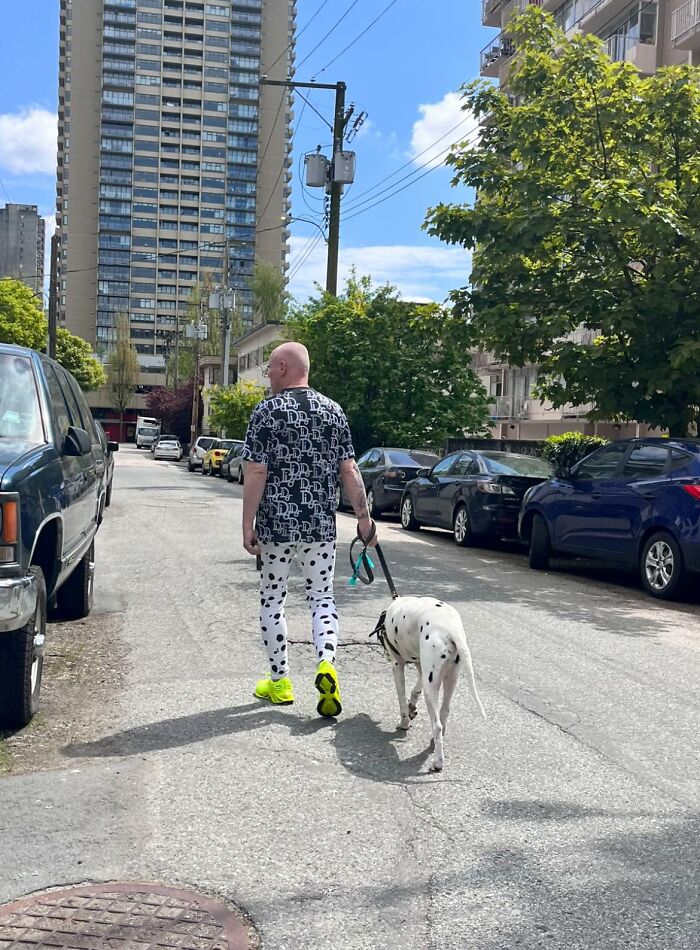 I Live In A Neighborhood With A Lot Of Dogs.. But This Duo Is Possibly The Best Thing I’ve Ever Seen. New Life Goal