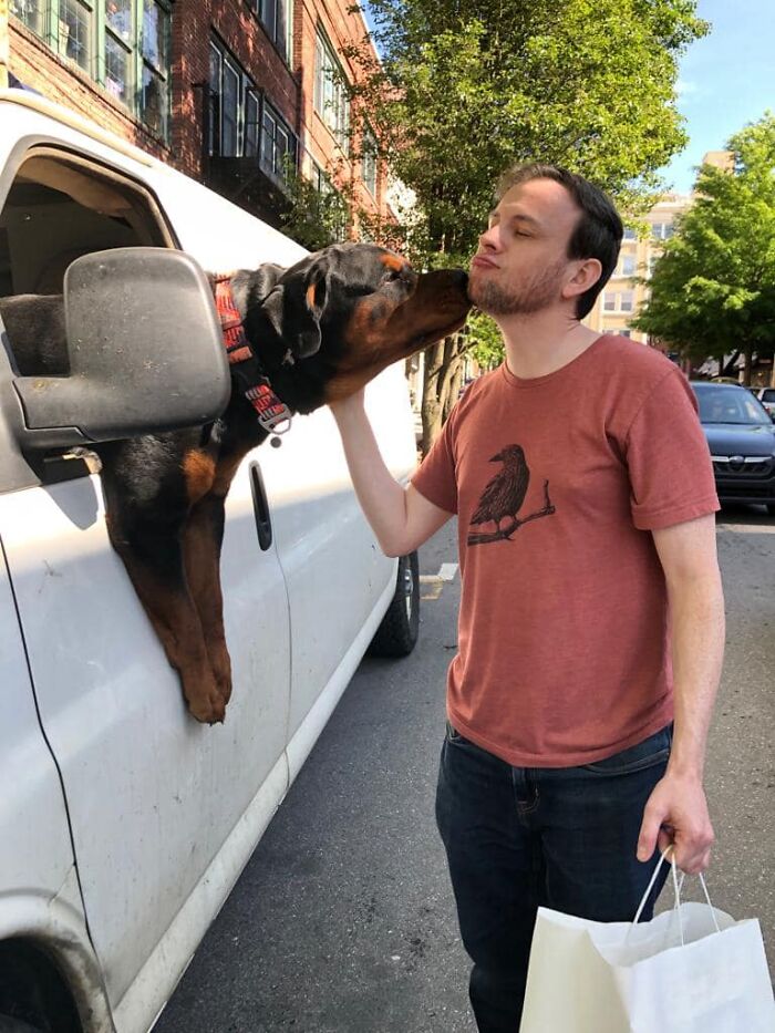 Car Dog Spotted In Asheville, North Carolina