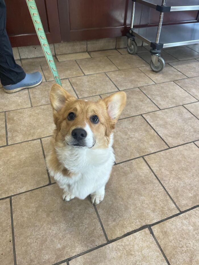 A Gentle Soul ™️ Waiting For His Coffee. He Even Tipped!!!