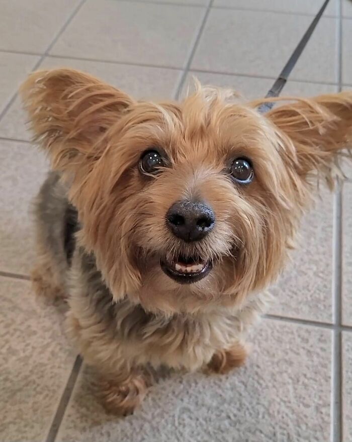 Missy Spotted At The Bank 😭 The Teefy Smile