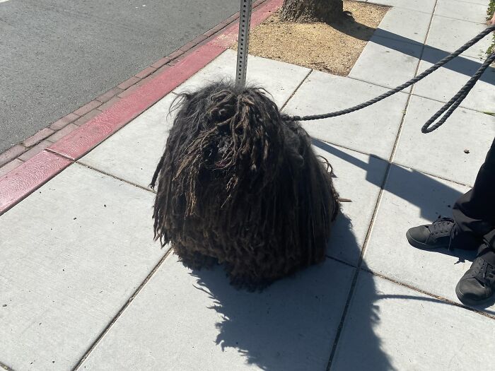 I’ve Never Seen One Of These In Person Before!!!