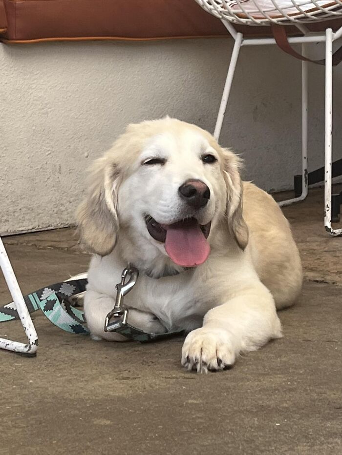 Throwin Winks In Austin Tx