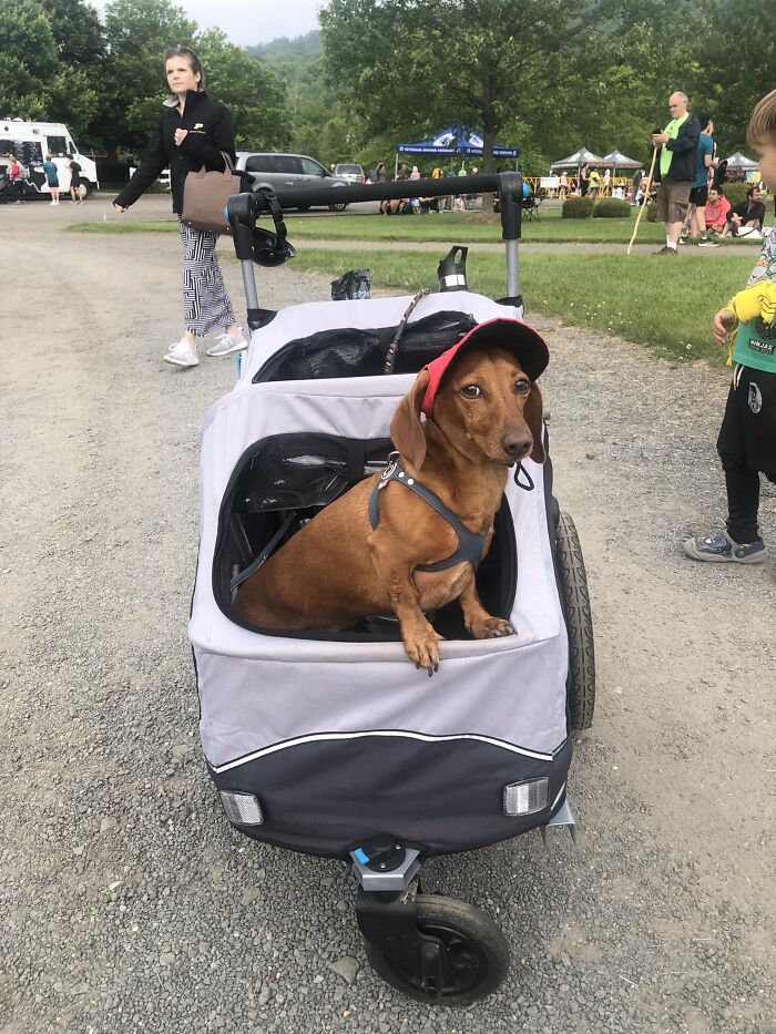 This Lovely Gentleman Ran A Race With Me This Morning!! 
