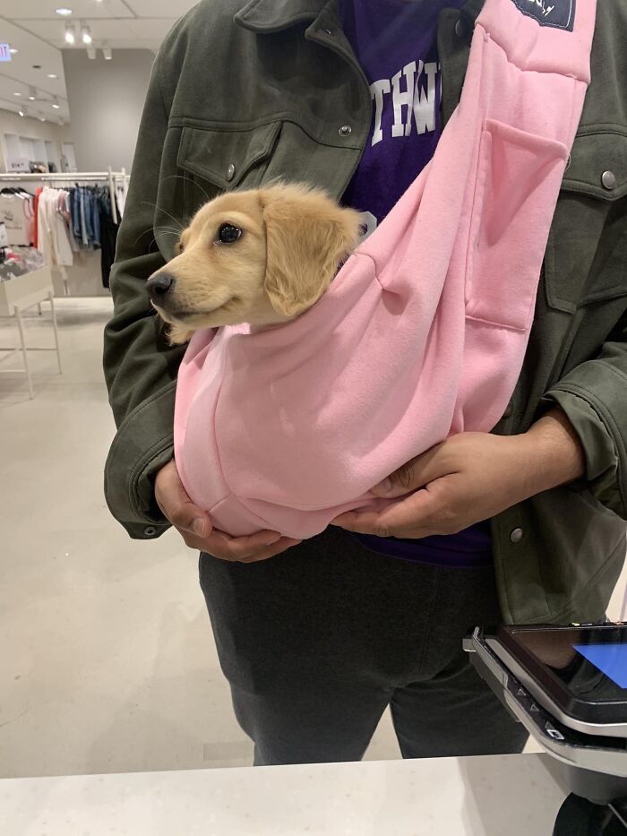 This Perfect Angel Came Into My Place Of Work Today And I Just Had To Ask For A Picture