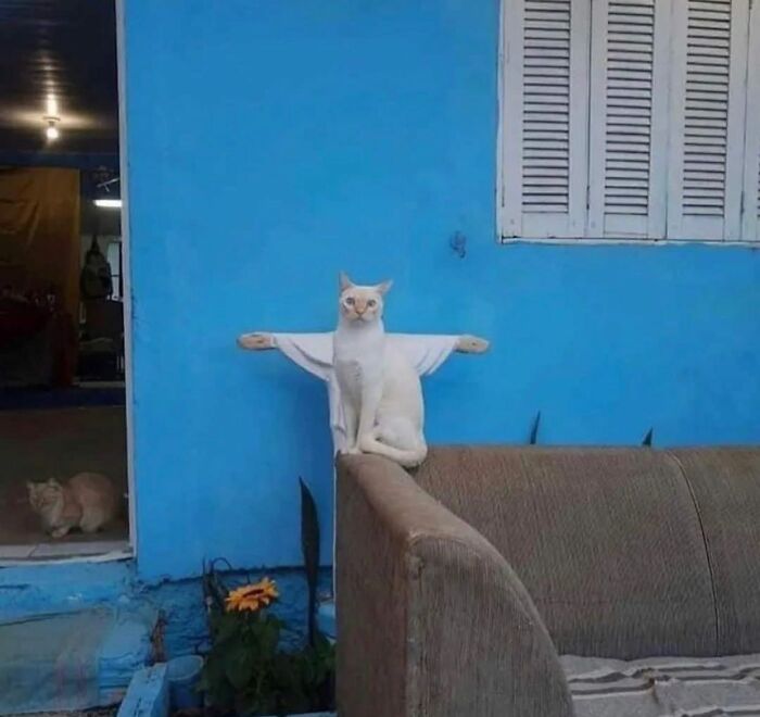 Instagram Account With Over 574 Thousand Followers Features Amusing Street Photos (30 New Pics)